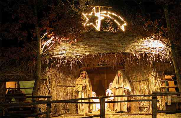 Buon Natale Auguri Di Pace Serenita E Gioia Nei Vostri Cuori Su Il Mio Mondo Blog