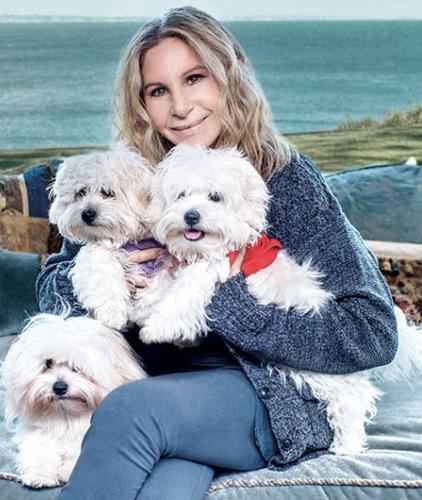 barbra-streisand-con-i-due-cuccioli-della-cagnetta-samantha