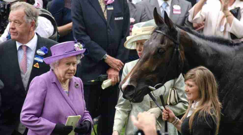 cavallo-della-regina-elisabetta